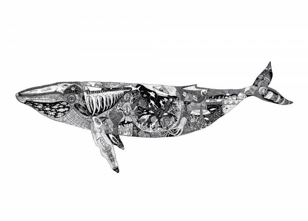 Whale — Original South African Artwork