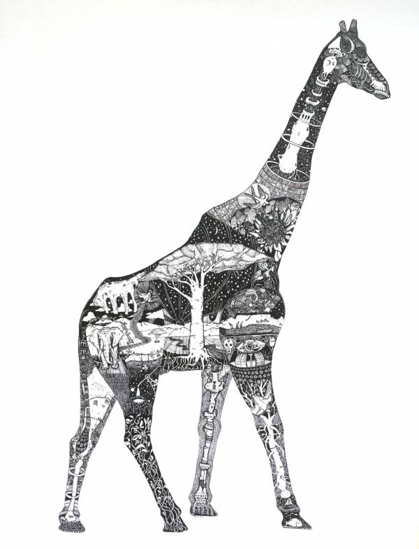 Cameloparda lis (Giraffe) (Framed) — Original South African Artwork