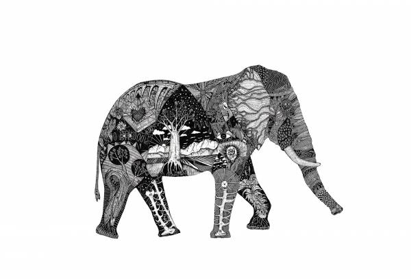 Elephant — Original South African Artwork