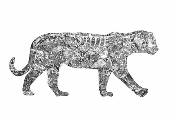 Jaguar A1 (Framed) — Original South African Artwork