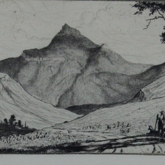 Willem Hermanus Coetzer — Original South African Artwork