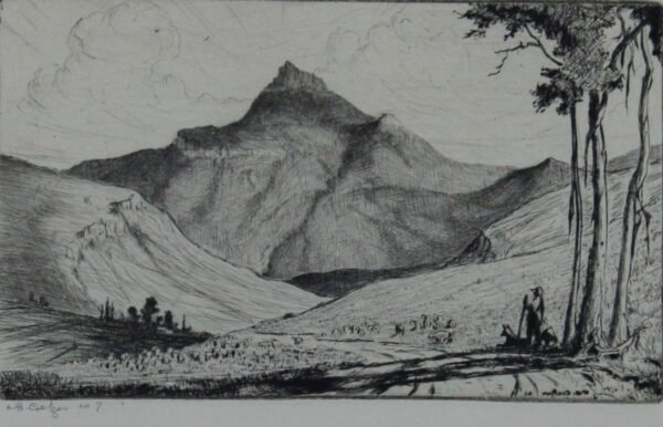 Willem Hermanus Coetzer — Original South African Artwork