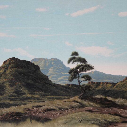 Gareth Munro — Original South African Artwork