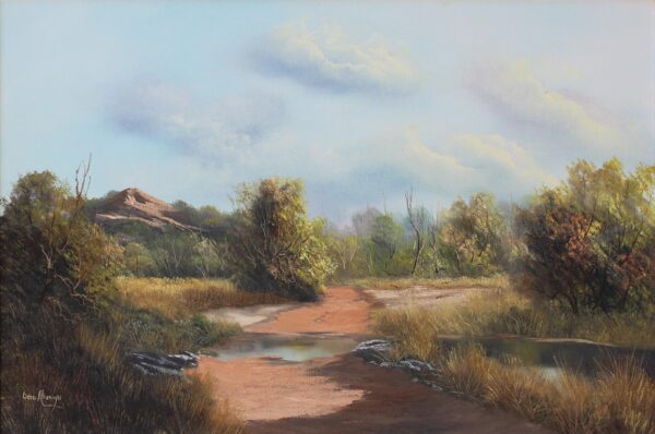 Otto Albertyn — Original South African Artwork