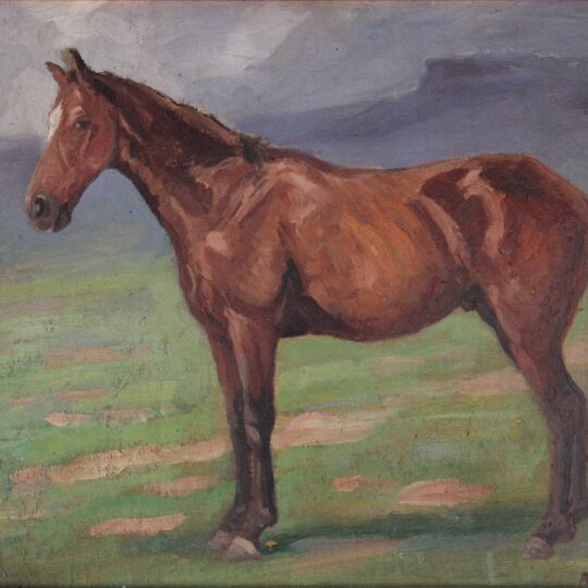 Allerley Glossop — Original South African Artwork