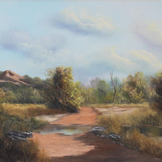 Otto Albertyn — Original South African Artwork