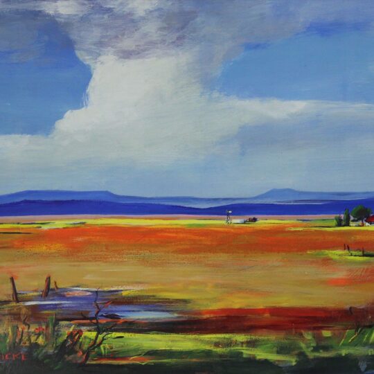 Anton Gericke — Original South African Artwork