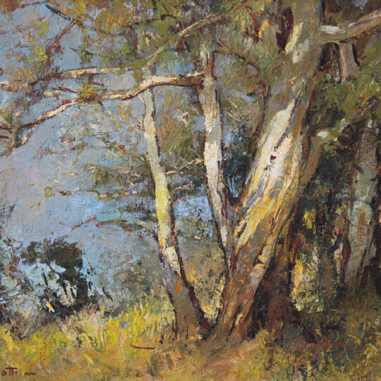 Titta Fasciotti — Original South African Artwork