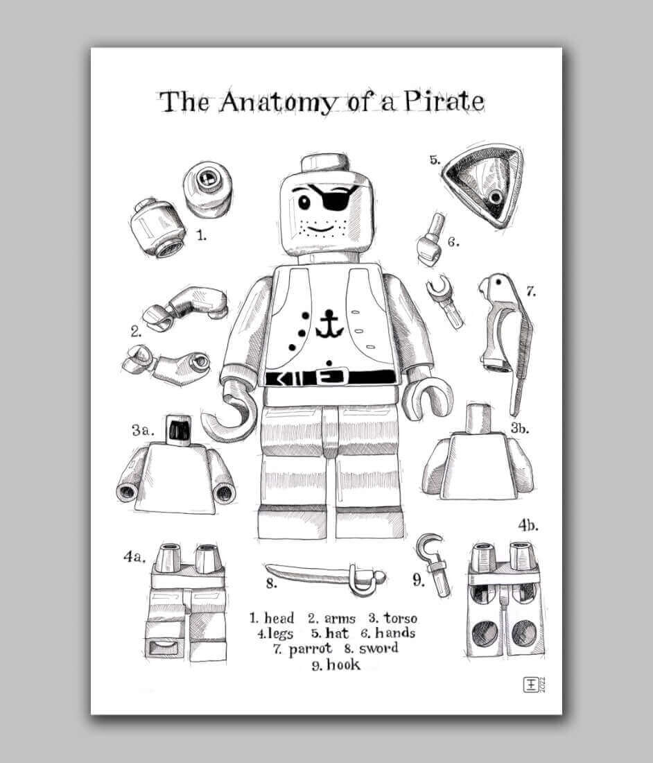 Anatomy of a pirate — Original South African Artwork