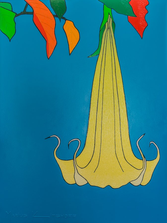 Divine Instrument — Original South African Artwork